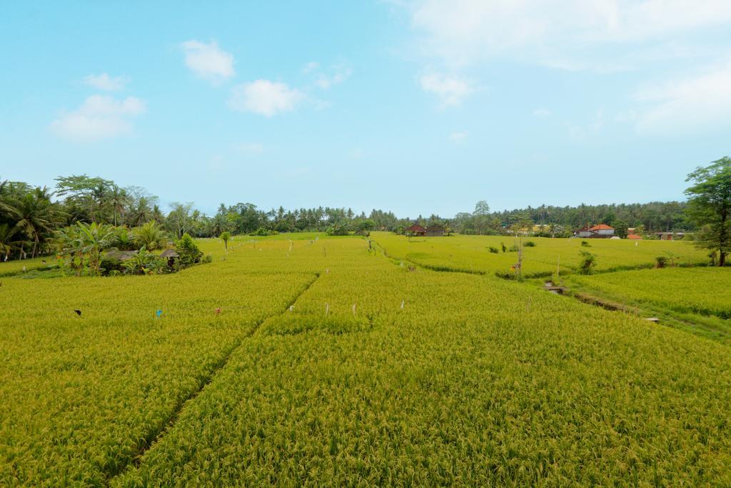 Thantha Ubud Villa Exterior photo